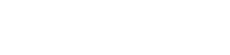IT%20Finanziato%20dallUnione%20europea_tracciato_WHITE.png